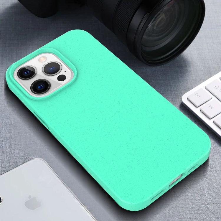 For iPhone 13 Pro Max Starry Series Shockproof Straw Material + TPU Protective Case (Blue) - iPhone 13 Pro Max Cases by PMC TechLife | Online Shopping South Africa | PMC TechLife | Buy Now Pay Later Mobicred