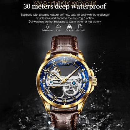OLEVS 6661 Men Fashion Luminous Waterproof Mechanical Watch(Blue + Gold) - Leather Strap Watches by OLEVS | Online Shopping South Africa | PMC Jewellery