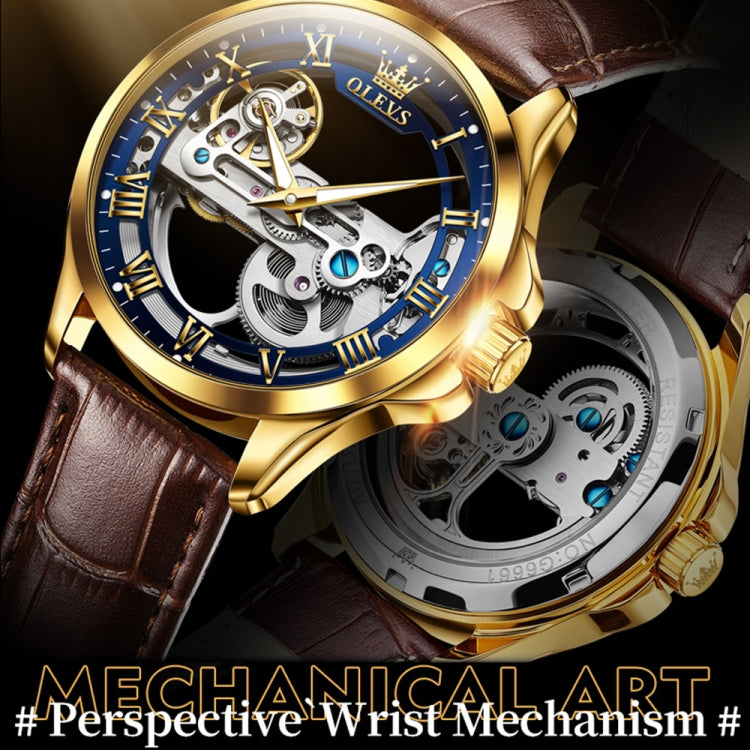 OLEVS 6661 Men Fashion Luminous Waterproof Mechanical Watch(Blue + Gold) - Leather Strap Watches by OLEVS | Online Shopping South Africa | PMC Jewellery