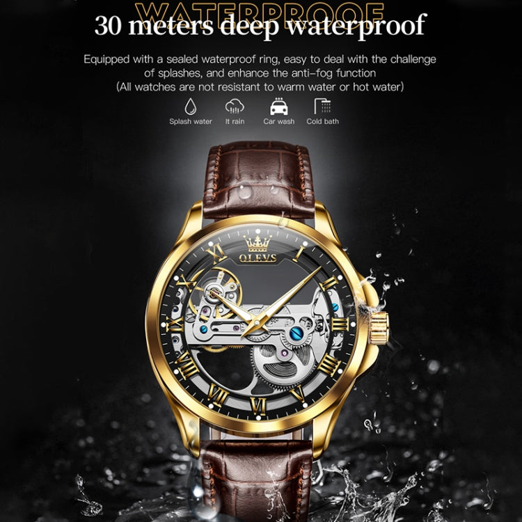 OLEVS 6661 Men Fashion Luminous Waterproof Mechanical Watch(Black + Gold) - Leather Strap Watches by OLEVS | Online Shopping South Africa | PMC Jewellery