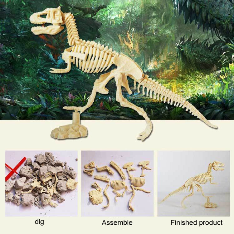 Assembled Tyrannosaurus Skeleton Archaeological Excavation Toys Simulation Fossil Model Manual Toys - DIY Developmental Toys by PMC Jewellery | Online Shopping South Africa | PMC Jewellery