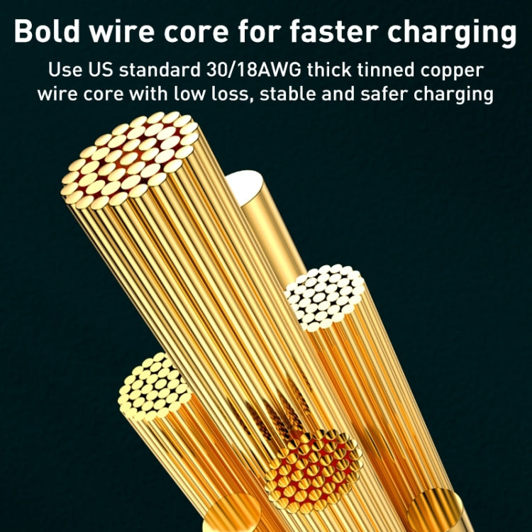 WK WDC-180 6A Pioneer Series USB to 8 Pin Transparent Fast Charge Data Cable, Length: 1m(Black) - Normal Style Cable by WK | Online Shopping South Africa | PMC TechLife