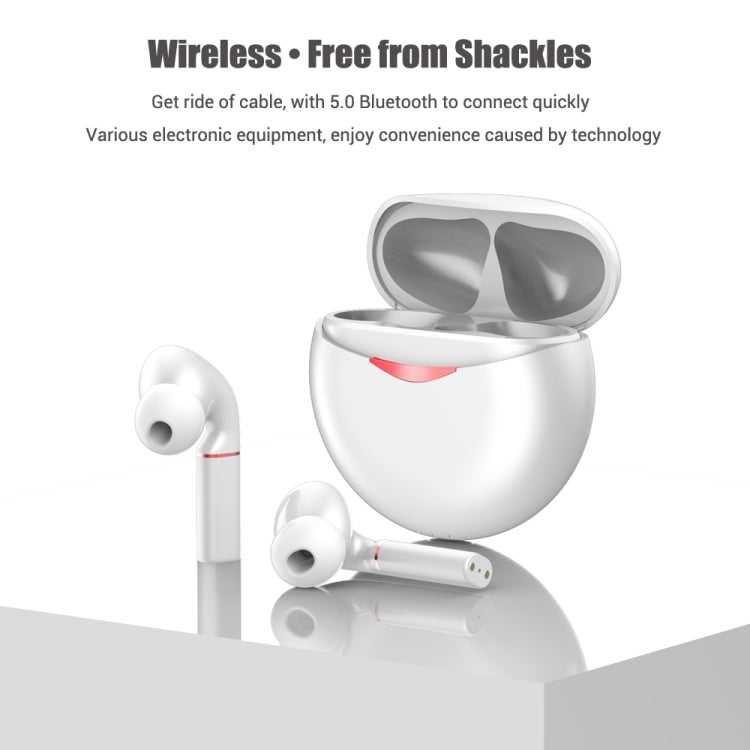T&G T50 Sport TWS Bluetooth Earphone HIFI Noise Canceling Handfree Earbuds with Microphone(Black) - Bluetooth Earphone by T&G | Online Shopping South Africa | PMC TechLife | Buy Now Pay Later Mobicred