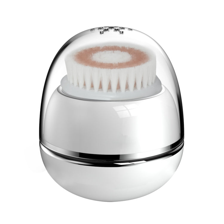 Duosi DY-103 USB Rechargeble Electric Facial Cleansing Brush Waterproof Face Deep Pore Cleaning Massager Exfoliator Oil Dirt Blackhead Remove - free shipping - PMC TechLife - Order now!