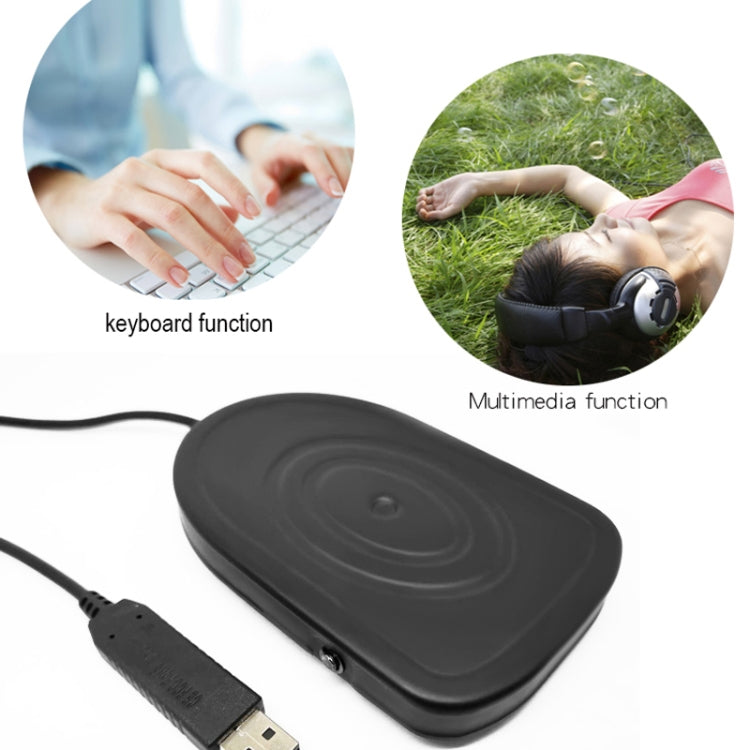 Pcsensor USB Foot Pedal Control Switch Keyboard Adapter For Computer, Model:FS2016 - free shipping - PMC TechLife - Order now!
