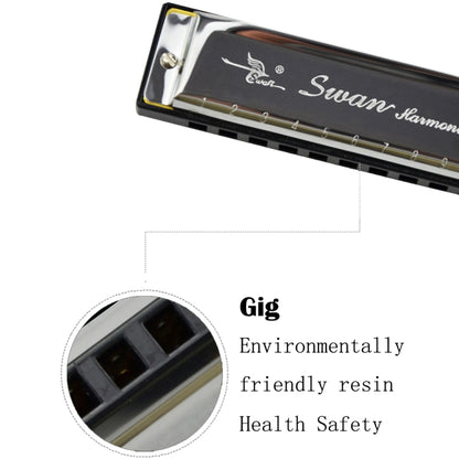 Swan 10 Holes Full-scale Bruce Harmonica Beginner Children Adult Students Playing Musical Instruments - Wind Instruments by PMC Jewellery | Online Shopping South Africa | PMC Jewellery