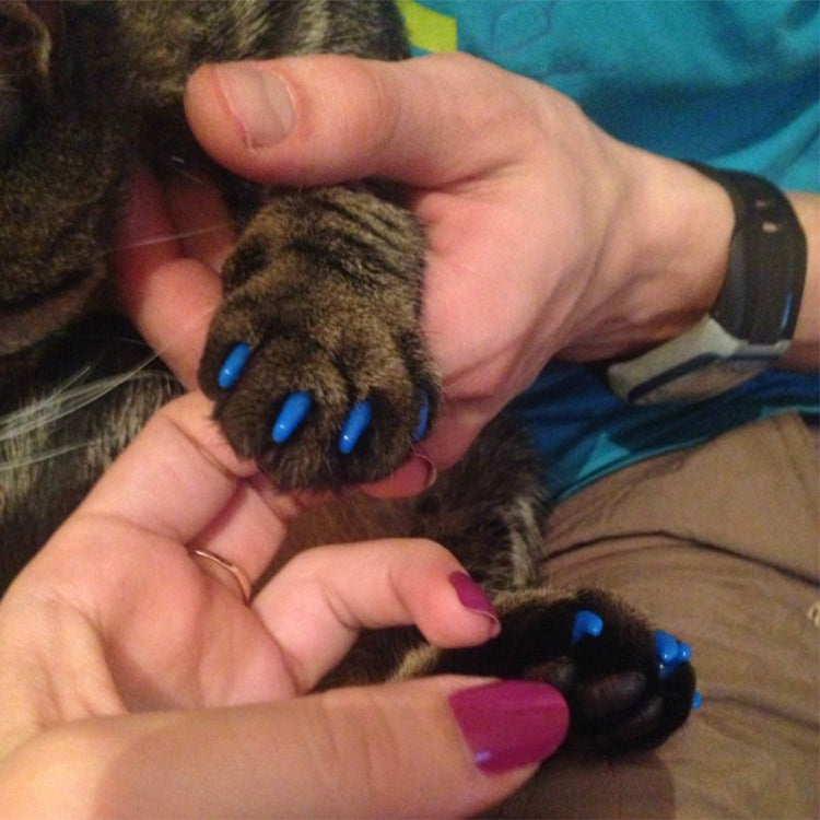 20 PCS Silicone Soft Cat Nail Caps / Cat Paw Claw / Pet Nail Protector/Cat Nail Cover, Size:S(Black) - free shipping - PMC TechLife - Order now!