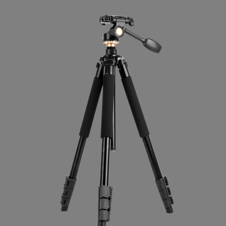 Q338 4-Section Folding Legs Live Broadcast Aluminum Alloy Tripod Mount With Three-dimensional Head - Tripods by PMC Jewellery | Online Shopping South Africa | PMC Jewellery