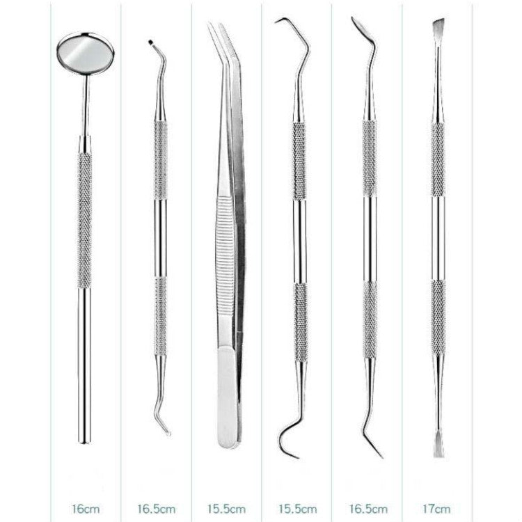 6 in 1 Silver Box Stainless Steel Dental Tools Dental Care Tartar Tool Dentist Tool Set - Dental Tools by PMC TechLife | Online Shopping South Africa | PMC TechLife