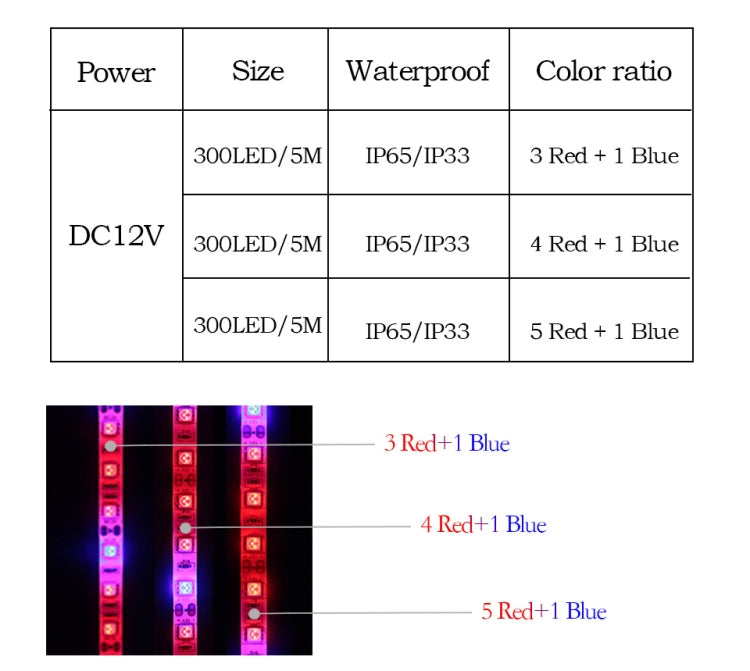5m 300 LEDs SMD 5050 Full Spectrum LED Strip Light Fitolampy Grow Lights for Greenhouse Hydroponic Plant Waterproof(5 Red 1 Blue) - LED Grow Lights by PMC TechLife | Online Shopping South Africa | PMC TechLife