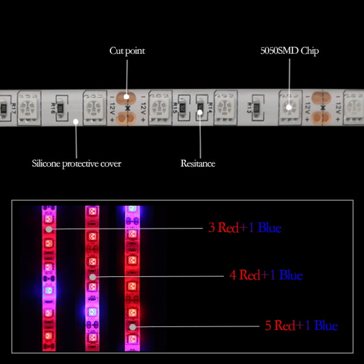 5m 300 LEDs SMD 5050 Full Spectrum LED Strip Light Fitolampy Grow Lights for Greenhouse Hydroponic Plant Waterproof(5 Red 1 Blue) - LED Grow Lights by PMC TechLife | Online Shopping South Africa | PMC TechLife