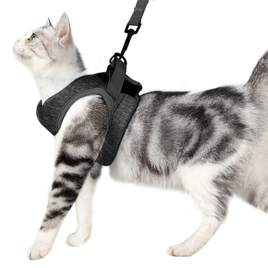 Cat Leash Pet Chest Harness Leash, Size: M(Grey) - Leashes by PMC Jewellery | Online Shopping South Africa | PMC Jewellery