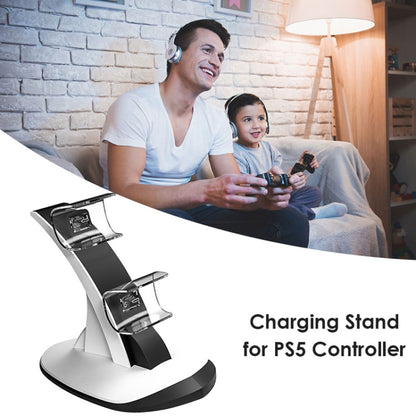 IPLAY HBP-314 Wireless Bluetooth Handle Two-Seater Charger For PS5(White) - Charger & Power by IPLAY | Online Shopping South Africa | PMC Jewellery