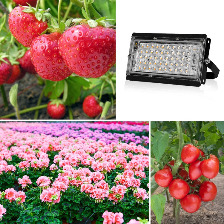 LED Plant Light Full Spectroscopy Waterproof Growth Lamp Seedlings Vegetable Filling Lamp, Power: UK Plug 96 Beads 100W(Pink Light) - LED Grow Lights by PMC Jewellery | Online Shopping South Africa | PMC Jewellery