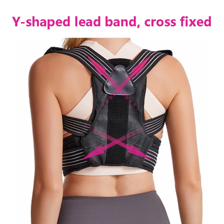 Unisex Dual Compression Back Support Correction Belt Hunchback Corrector, Specification: Free Size(Black) - Corrector by PMC Jewellery | Online Shopping South Africa | PMC Jewellery