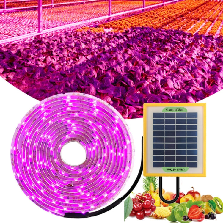 LED Full Spectrum Plant Fill Light Grow Light(Solar Panel+ 5M Lamps) - LED Grow Lights by PMC Jewellery | Online Shopping South Africa | PMC Jewellery