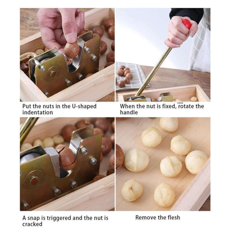 Nut Walnut Macadamia Opener Fruit Opener - free shipping - PMC TechLife - Order now!