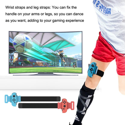 DOBE TNS-2125 18 In 1 Somatosensory Sports Set For Nintendo Switch - Gamepads by DOBE | Online Shopping South Africa | PMC Jewellery