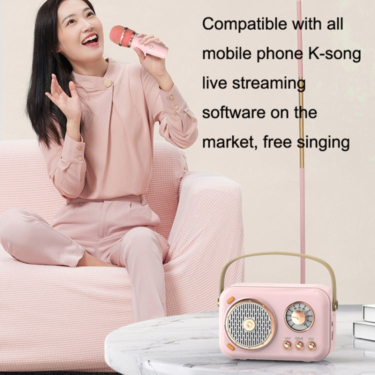 POLVCDG B152 Multi-Functional Small Family KTV Karaoke Microphone Sound Integration(Green) - Desktop Speaker by POLVCDG | Online Shopping South Africa | PMC TechLife | Buy Now Pay Later Mobicred