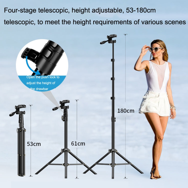 APEXEL APL-JJ070 Outdoor Phone Live With Yundai SLR Portable Landing Selfie Rod Tripod(Black) - Stand by APEXEL | Online Shopping South Africa | PMC Jewellery