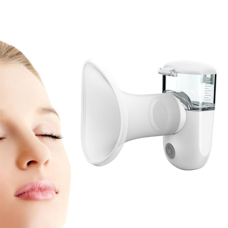 Rechargeable Eye Sprayer Mini Face Steamer Humidifier with Fine Mist(Green) - Beauty Instrument by PMC TechLife | Online Shopping South Africa | PMC TechLife