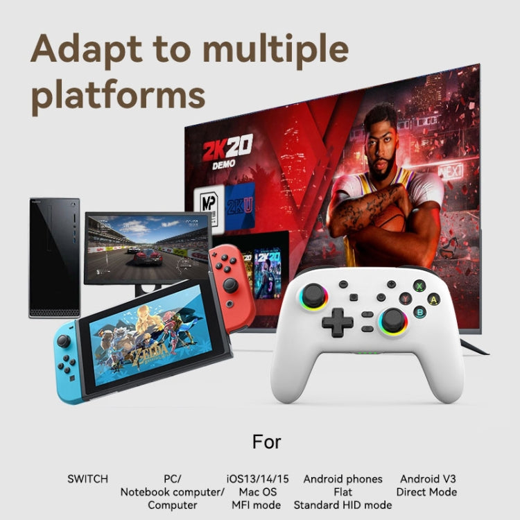 Wireless Bluetooth Somatosensory Vibration Gamepad for Nintendo Switch/Switch PRO, Color: Black - Gamepads by PMC TechLife | Online Shopping South Africa | PMC TechLife