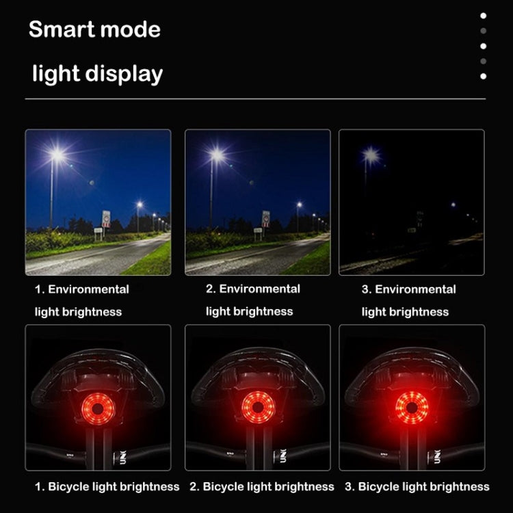 WEST BIKING Bicycle USB Charging Smart Brake Sensor Warning Tail Light(Sit Tube) - Taillights by WEST BIKING | Online Shopping South Africa | PMC TechLife | Buy Now Pay Later Mobicred
