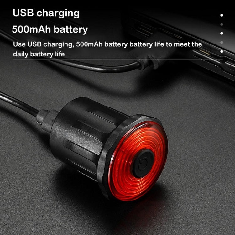 WEST BIKING Bicycle USB Charging Smart Brake Sensor Warning Tail Light(Sit Tube) - Taillights by WEST BIKING | Online Shopping South Africa | PMC TechLife | Buy Now Pay Later Mobicred