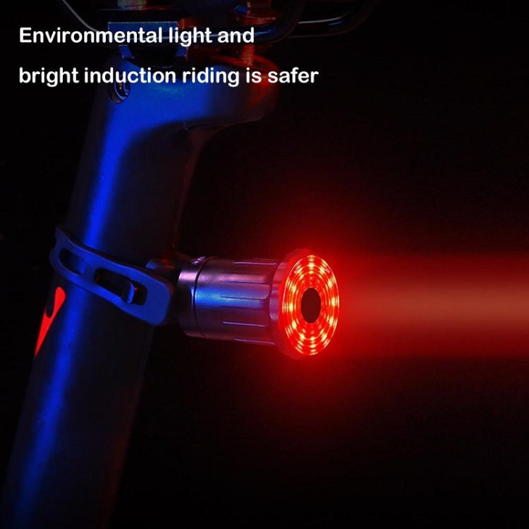 WEST BIKING Bicycle USB Charging Smart Brake Sensor Warning Tail Light(Sit Tube) - Taillights by WEST BIKING | Online Shopping South Africa | PMC TechLife | Buy Now Pay Later Mobicred